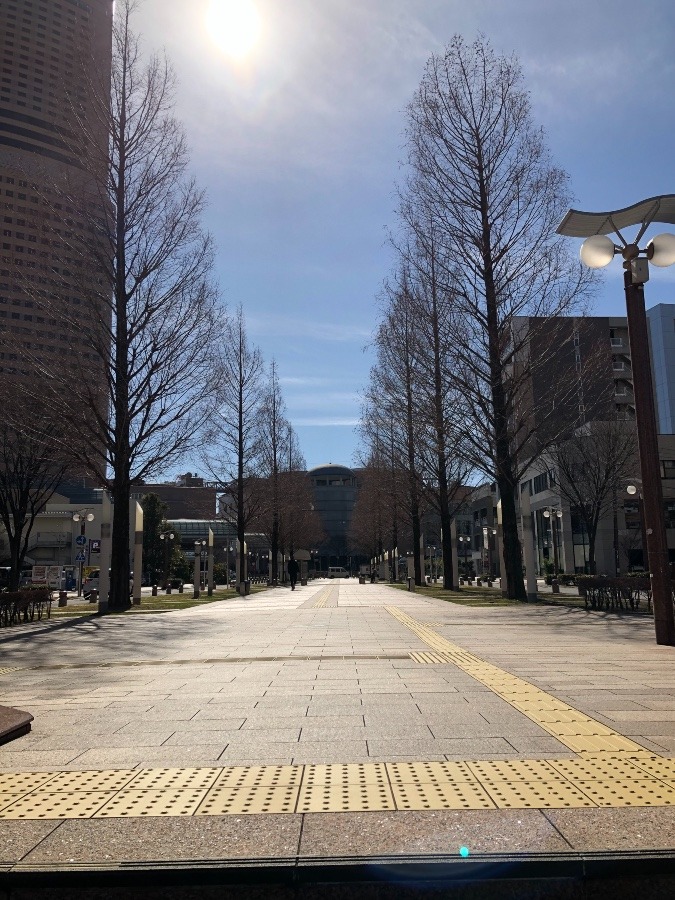 静岡文化芸術大学周辺を、散歩してみよう。
