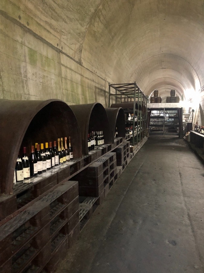 トンネルを利用したワインセラー
