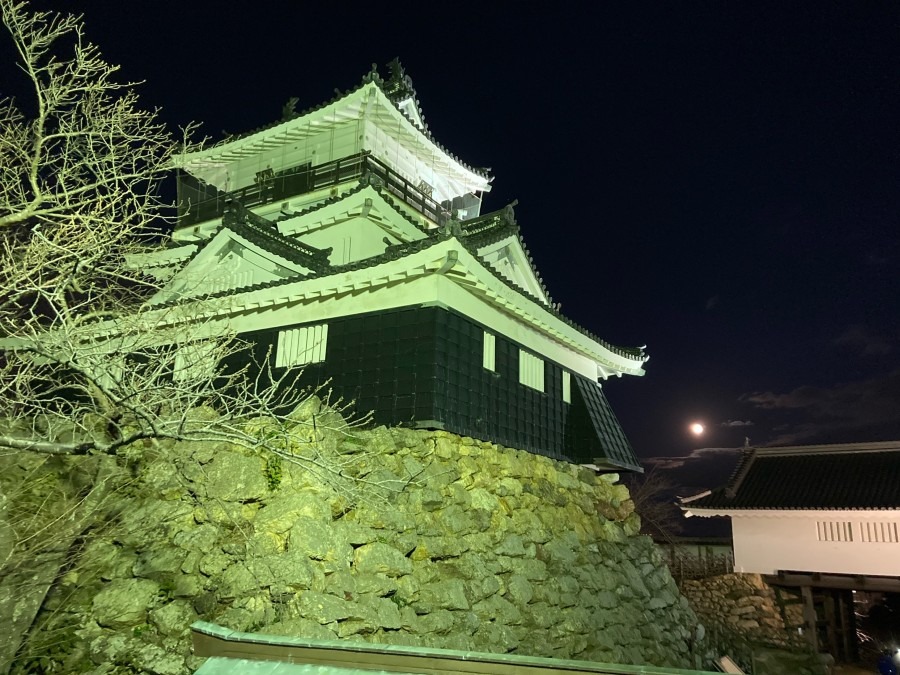 夜の浜松城🌙